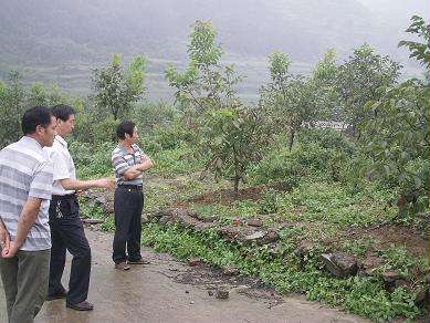 ���һ���