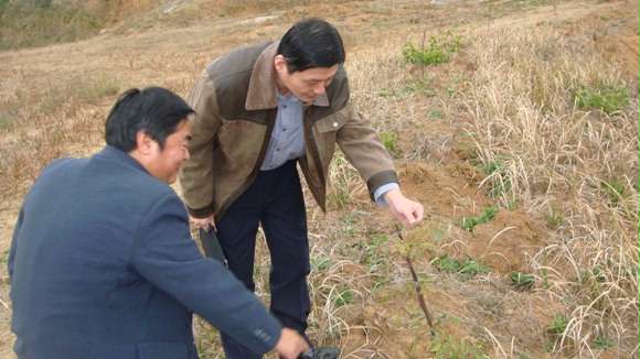 �ؾ��쵼�ֳ�ָ����ֲ