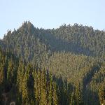 ������ɽ