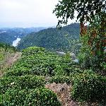 ������ɽ