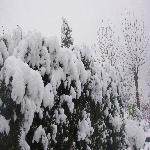 ������ɽ